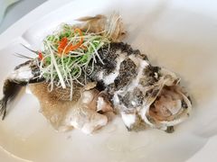 笋壳鱼-伯衡55·吉品轩(乌鲁木齐南路店)