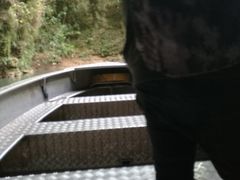 -怀托摩萤火虫洞