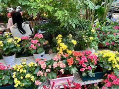 -山水茶艺馆·点心粤菜·30年老字号