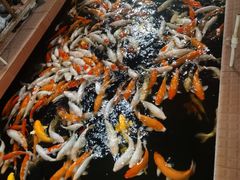 -侠成水上农庄(工业大道店)