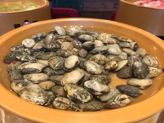 -龍歌自助小火锅(兰山上海路万达店)
