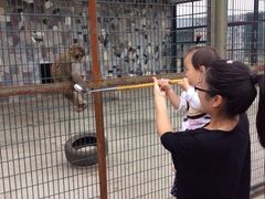 -宿豫区运河湾森林动物园
