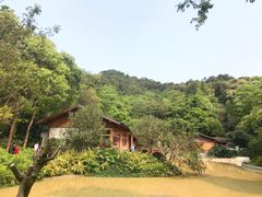 -云溪植物园