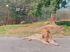 -乐和乐都主题乐园