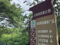 -王借岗森林公园