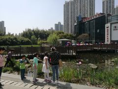 -苏州河梦清园环保主题公园