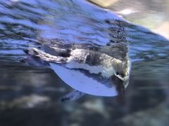 -福州罗源湾海洋世界旅游区