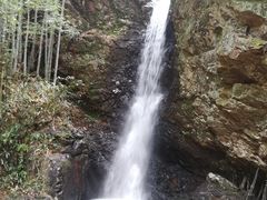 -大余丫山旅游度假区