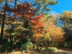 -三鹰之森吉卜力美术馆