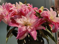 -南堂馆·新川菜(春熙路店)