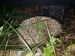 -兴芮温泉度假区