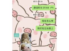 -安安宠医宠物医院·异宠·犬猫内科(岳阳分院)