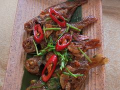 -御同亨酒楼·喜宴