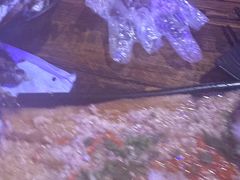-蠔爺王志德生蚝馆(金沙湾店)