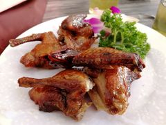 -鸽鸟轩(石岐店)