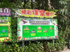 -广州长隆飞鸟乐园