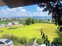 -翠田Green Field Kitchen