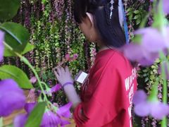 -苏州5D星空错觉艺术馆