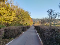 -龙寺生态园