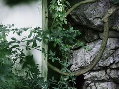 -艺圃