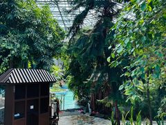 -瑞阁温泉酒店温泉中心