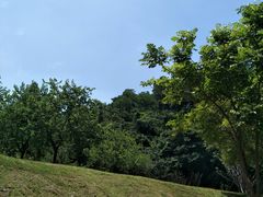 -火炉山森林公园