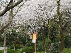 -中国茶叶博物馆(双峰馆区)