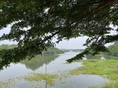 -松山湖风景区松湖烟雨