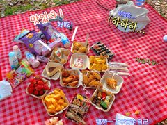 -上海共青森林公园