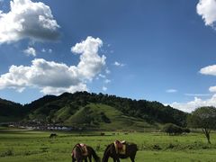 -关山草原