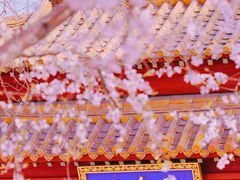 -桃花堤公园