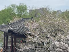 -绍兴镜湖国家城市湿地公园