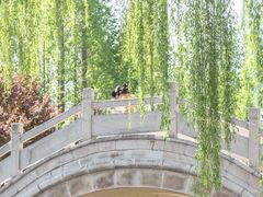 -洛阳市隋唐城遗址植物园