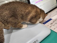 -美迦爱-牙专科·兔科·骨科诊疗中心(北苑店)