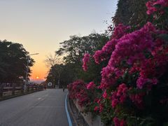 -红花湖景区