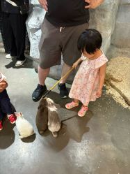 -Zoolung Zoolung动物主题公园(海信广场店)