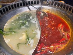 -辣伍鲜毛肚老火锅(元一店)