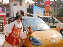 -芜湖方特东方神画