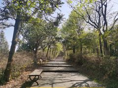 -江南天池