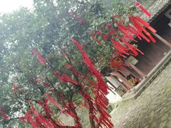 -仙霞关景区