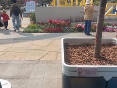 -凯德MALL(望京店)