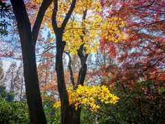 -莫干山风景区