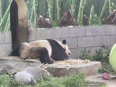 -南昌动物园
