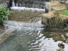 -东钱湖小普陀景区