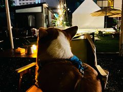 -绿茶餐厅(同成街华联店)