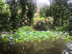 -燕晗山郊野公园