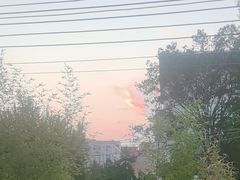 -羊门客在·烤盐池滩羊·川菜