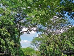 -白马涧龙池景区