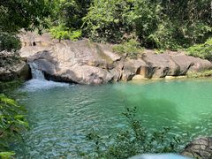 -广州白江湖森林公园