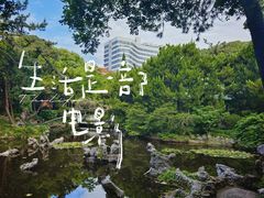 -叶家花园
